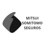 Mitsui Seguros
